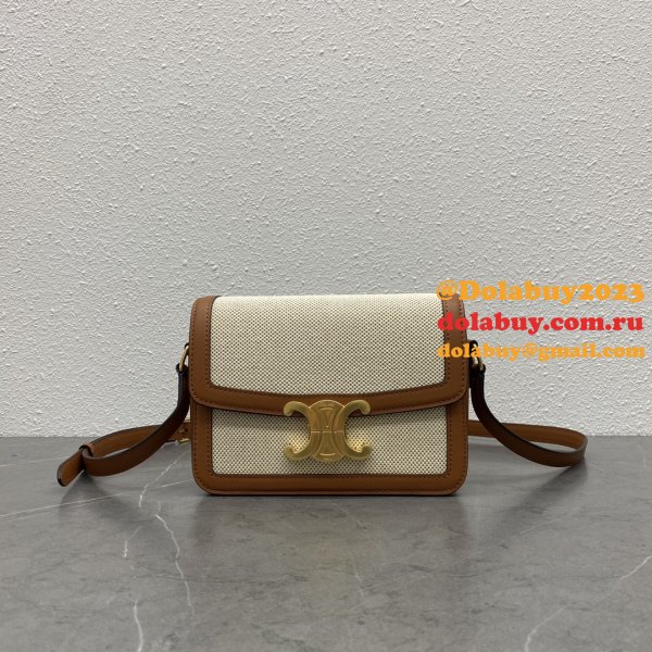 Perfect 1:1 Mirror CELINE Triomphe ONLINE selling