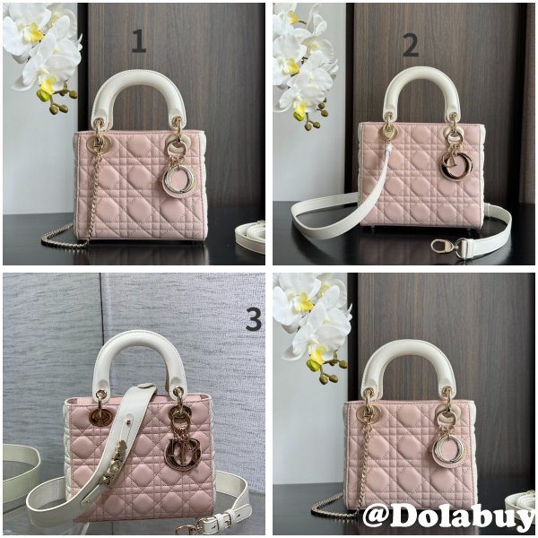 Perfect Quality Replica Christian Lady Dior 17/20cm Bags