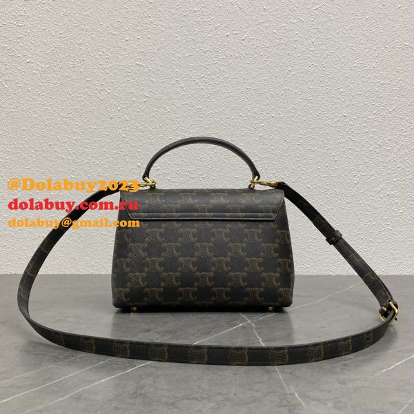 Luxury celine TRIOMPHE 20CM kelly BAG 118113