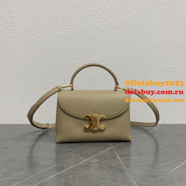 Luxury celine TRIOMPHE 20CM kelly BAG 118113